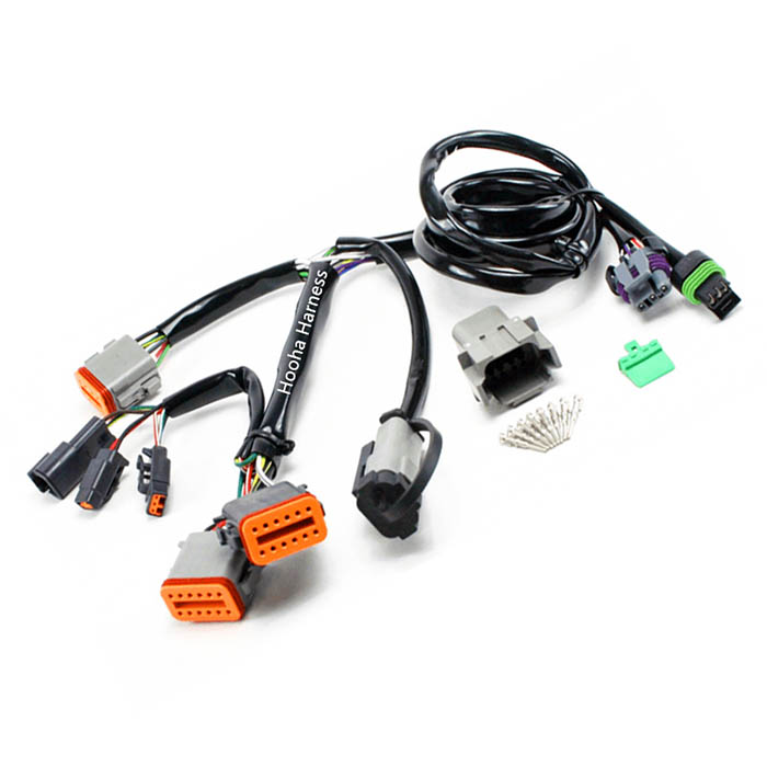 Conjunto de cables del conector DT