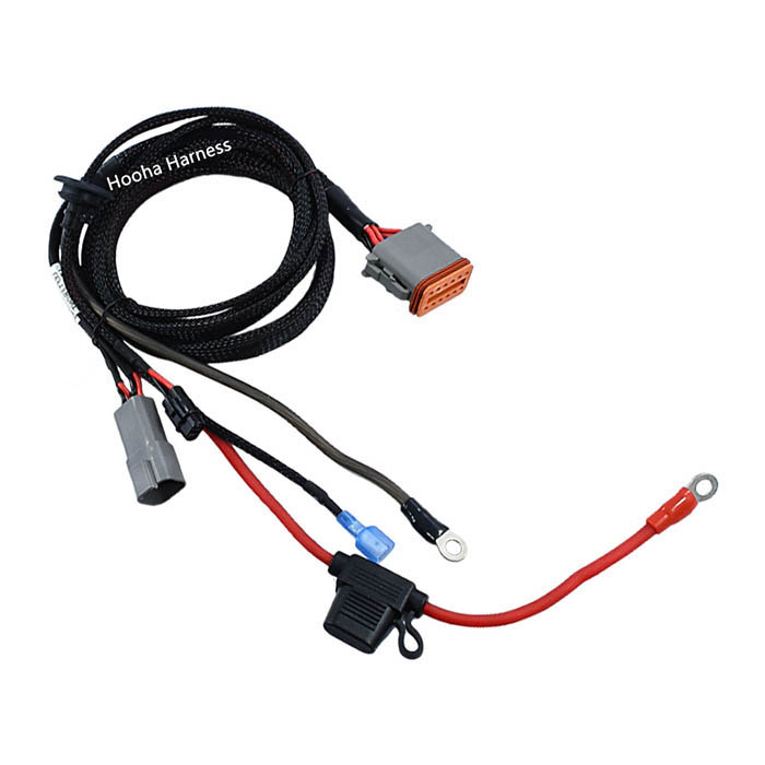 DT06-12S wire harness