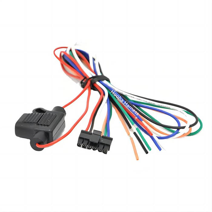 Molex-Stecker mit Sicherungshalter