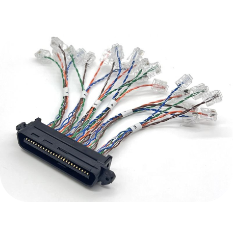 RJ21 cable