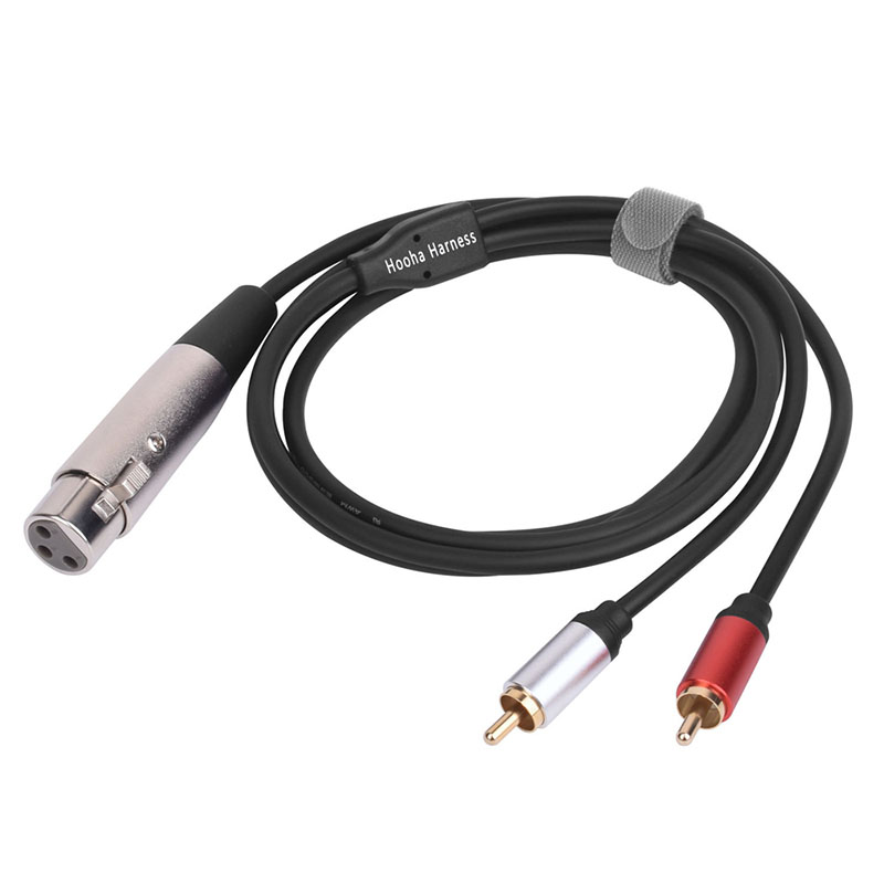 xlr a rca