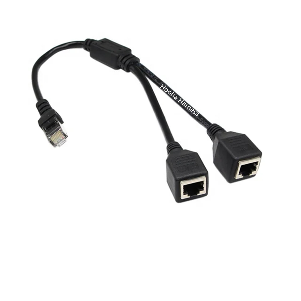 double adaptateur Ethernet