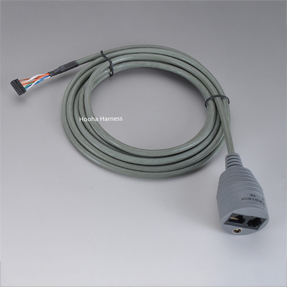 RJ11-Stecker umspritzt